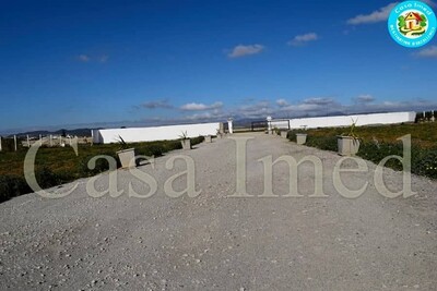 terrain a korba a bas prix