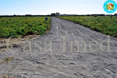 un terrain à hammamet en promotion28910812