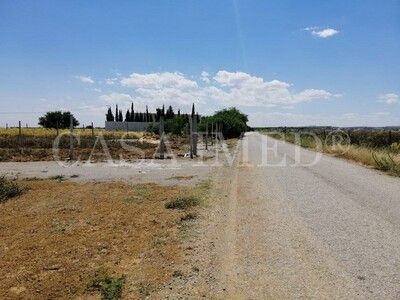 les derniers lots de terrains a hammamet