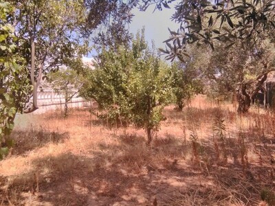 Terrain clôturé à Hammamet nord