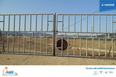FERME SIDI JEDIDI Hammamet sud