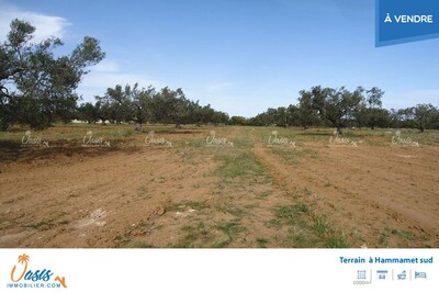 Terrain the garden Hammamet Sud