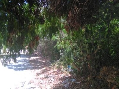 a lot of land side sea to hammamet north