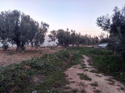 360 m a 75Md a sidi hamed
