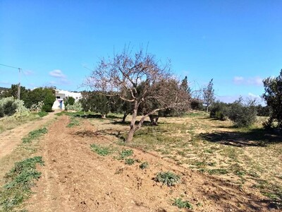 4500 m a la compagne de hammmamt