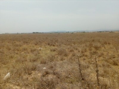 250 m a 30Md a hammammt sud