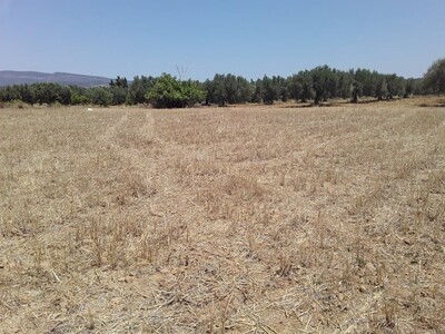 400 m a menchar a 25Md