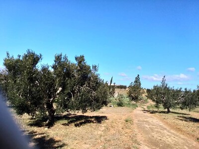 3000 m a 45md a 10 mi de hammamat