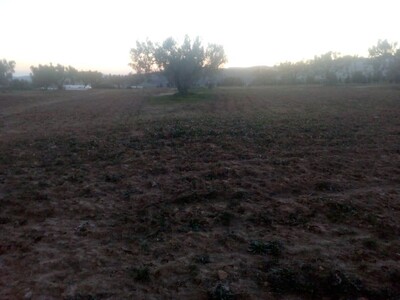 terrain de 6200 m a la compange de hammamt