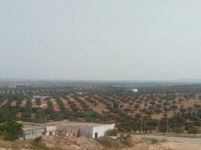 1000 m with sea seen a south hammamt