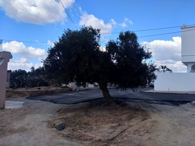 un lots de terrain apres de bir bouragba