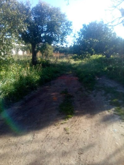 a lot of land not far from downtown