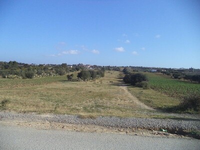 terrain d à 4 km² à BEN WAEL de hammamet nord
