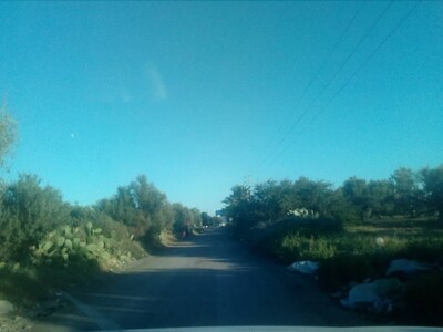 farmland between bouficha and ain rahma has 150 MD