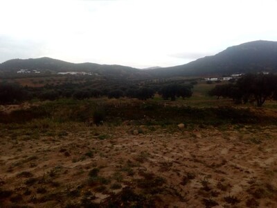 terrain a la compagne de hammamt latrech