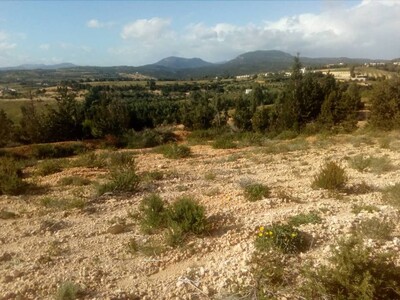 24 hect a hammamet pour un projet