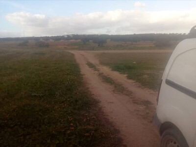 un grand terrain a 10 min de yassmine hammamt