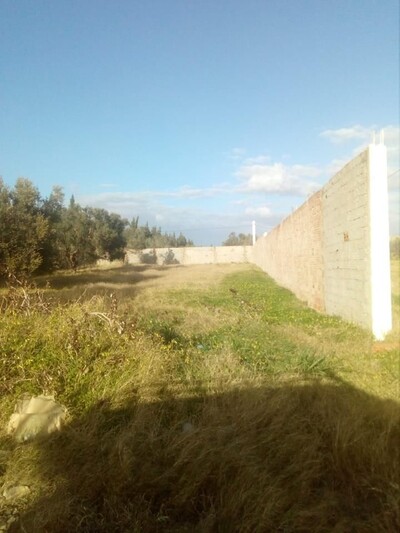 terrain commercial 1000 m a sidi hamed a