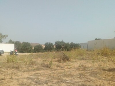 un lots de terrain a hammamt sud avec 12 oliviers