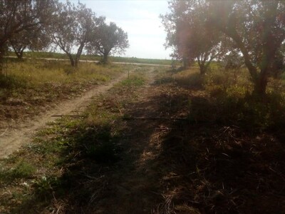 1000 m a cote mer a bouficha