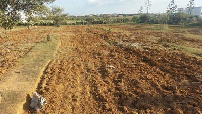 terrain de 500 à 38MD à hammamet sud