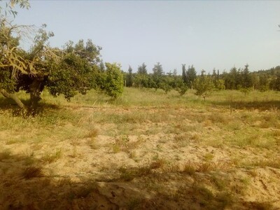 UN grand terrain a la compagne de hammamt sud