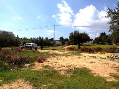 field mrezga 140m A