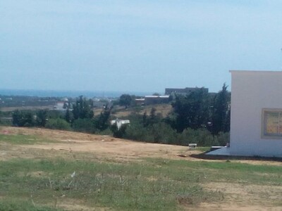 terrain de 1000m² a hammamet