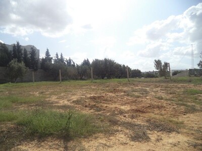 vraie occasion terrain de 250 à Menchar Hammamet