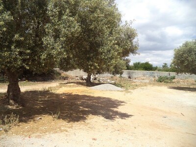 terrain de 200 à kharoub BARAKET ESAHEL