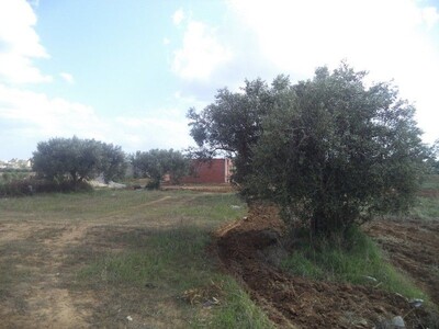 bonne occasion : terrain de 250m² à MENCHAR hammamet