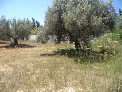 très beau terrain de 279m² loin 7 min à hammamet yasmine