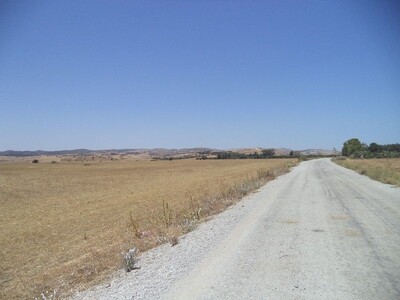 beau terrain de 18 hectares à zaghouan