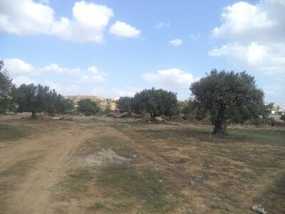 terrain de 250m² situé à menchar hammamet