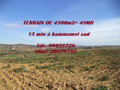 grand terrain de 4500m² à latrech