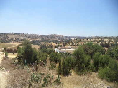 bella ferme fructueuse de 3600m² à hammamet