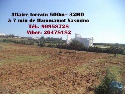 beau lot de terrain de 500m² à menchar hammamet