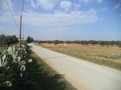 beau terrain de 300m² à 5km de Jinen hammamet