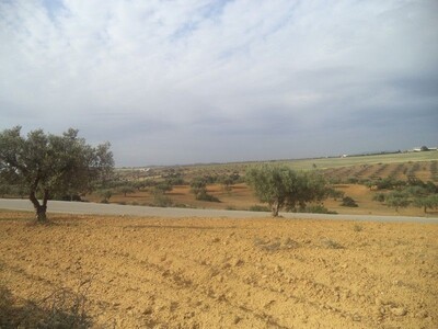beau terrain de 500m² proche à centre ville hammamet