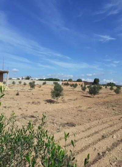 beaux lots de terrains à partir de 200m²