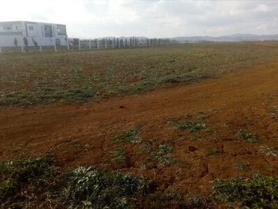 600m pas loin de yassmin hammamet