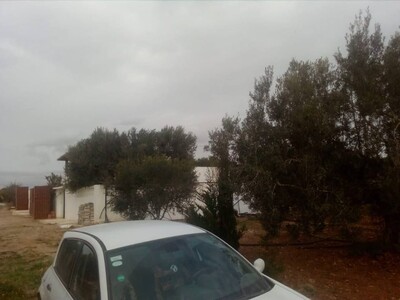 1000m prés de bareket essahel