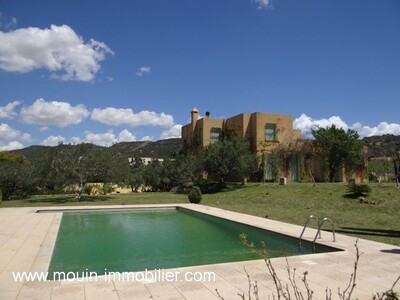 VILLA COSMOS Hammamet Zone Craxi A