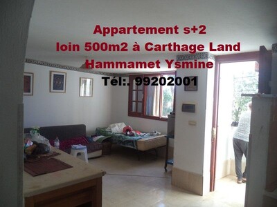 rare apartment opportunity just 500m from Carthage Land