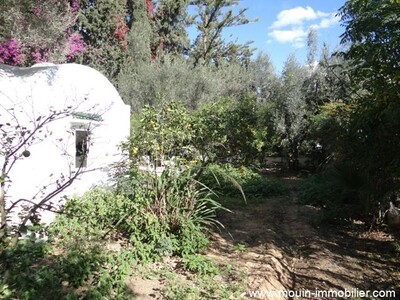 Villa Iris AV à Hammamet zone craxi
