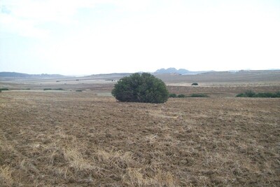 AV terrain tel jawal la campagne de hammamet