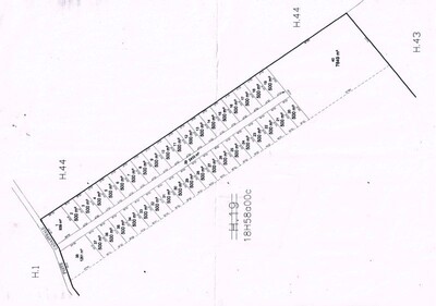 Terrain DUCRAY Réf:  sidi mtir