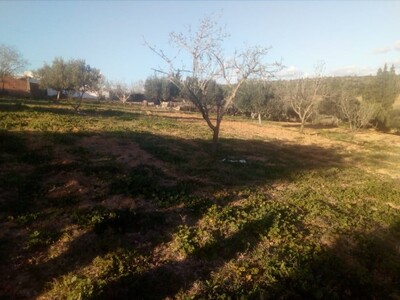 2000 m a vendre avec de l'eau