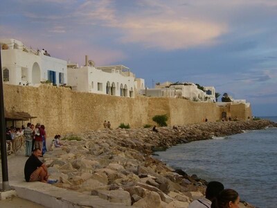 un lots de terrain pied dans l'eau a hammamt