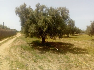 3000 m a 10 min de hammamt a vendre